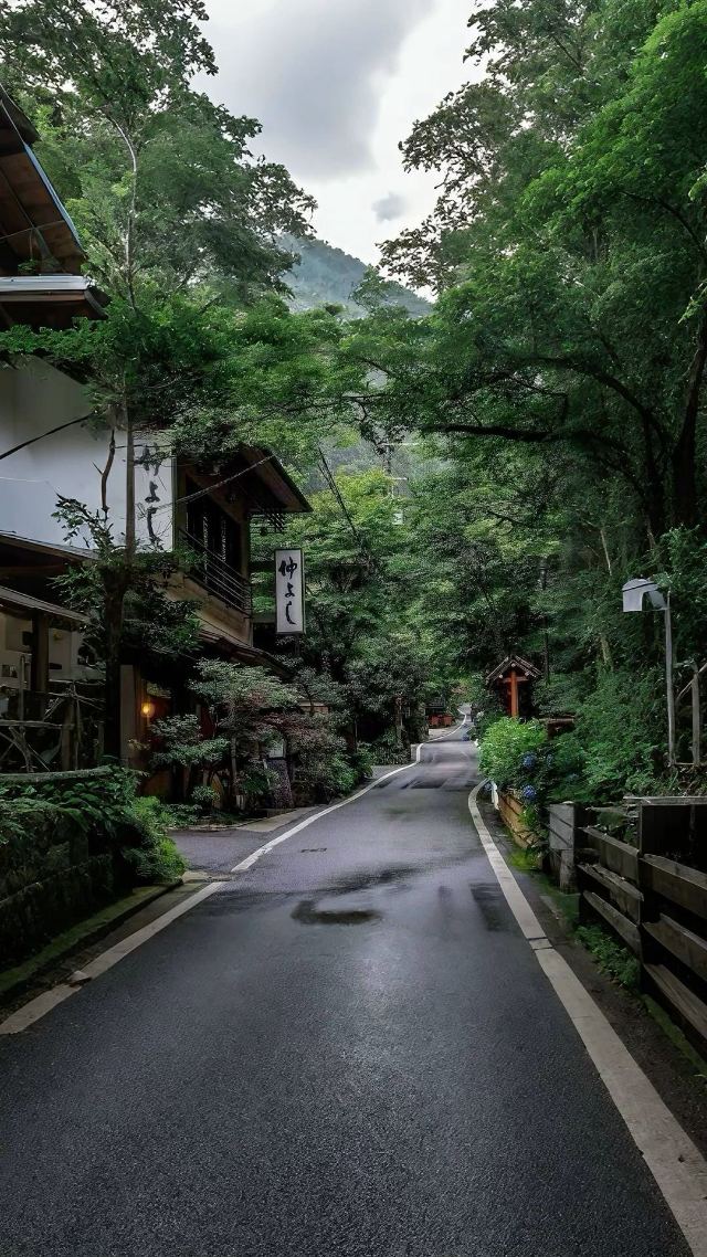 Kyoto Forest Road wallpaper