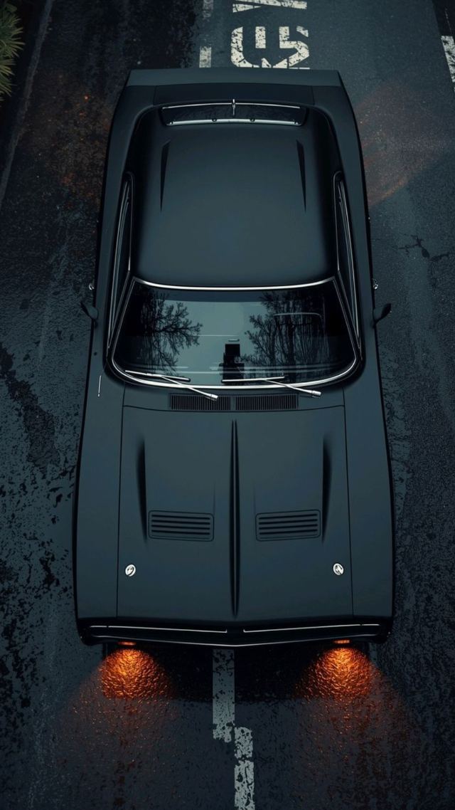 Midnight Muscle wallpaper