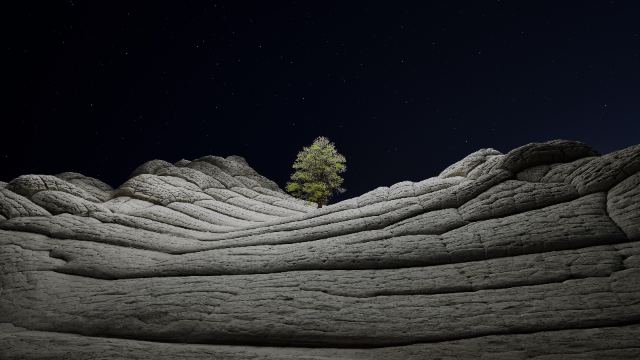 Macos Big Sur Stock Night Lone Tree Sedimentary Rocks wallpaper