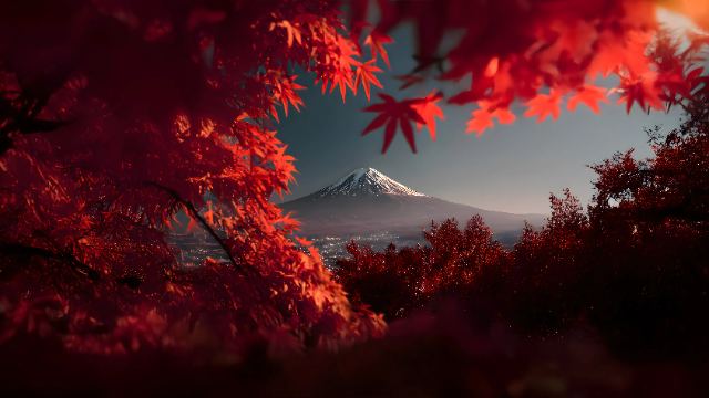 Crimson Sky wallpaper