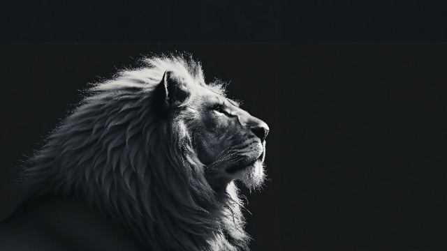 Pewter Night wallpaper