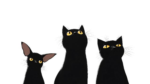 Three Black Cats wallpaper